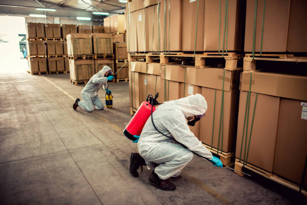 Best Pest Inspection Near Me  in West Alexandria, OH