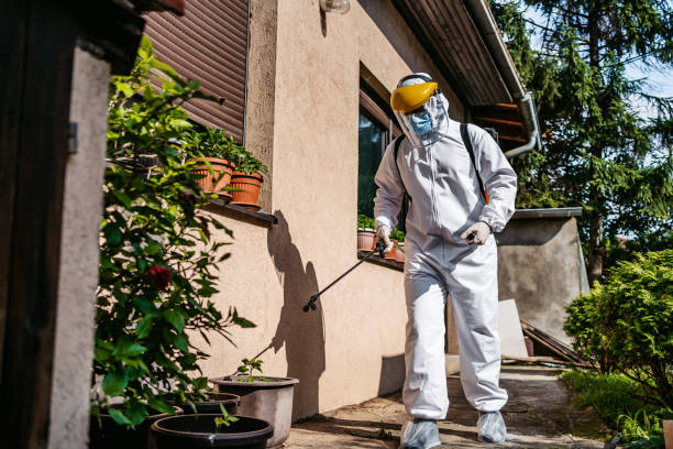 Best Pest Prevention Services  in West Alexandria, OH