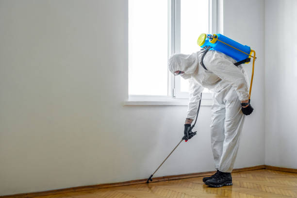 Best Best Pest Control Companies  in West Alexandria, OH