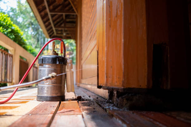 Best Termite Control Services  in West Alexandria, OH