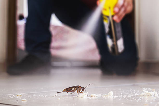 Best Best Pest Control Companies  in West Alexandria, OH