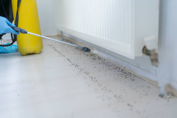 Best Pest Control for Businesses  in West Alexandria, OH